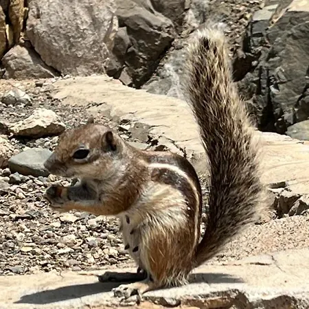 דירה Torres Del Castillo, 208marina *