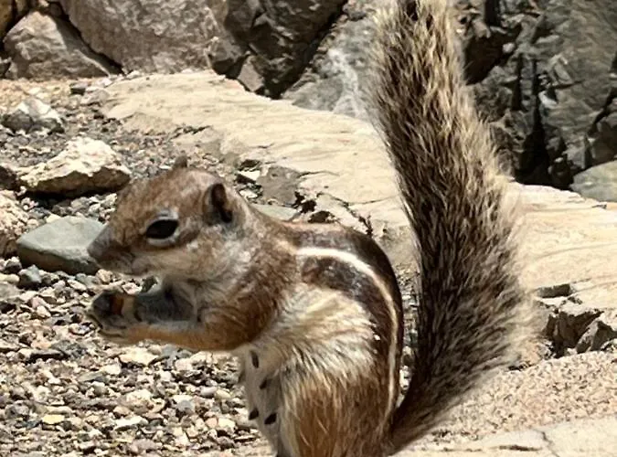 Lägenhet Torres Del Castillo, 208marina *